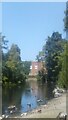 Lake in Clockhouse gardens