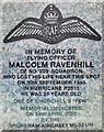 Memorial RAF Officer (Close Up)