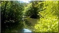 Sunlit lake in Clockhouse Gardens