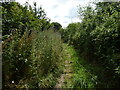 Footpath leading out of Exfords Green