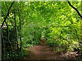 Nightingale Gardens bridleway