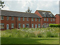 Houses on Prince George Avenue, Oakham