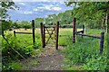 TL3334 : Tall gate on the path by Philpott's Wood by Philip Jeffrey