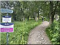 Path to Loch Brandy