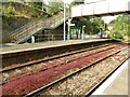 Devonport station - red weed