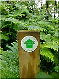 SU5952 : Permissive footpath sign, Worting Wood by Oscar Taylor