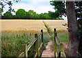 Footbridge over Dogsmouth Brook