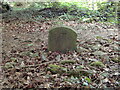 Old Boundary Marker on Court Hill