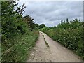 National Cycle Network, route 403 on the edge of Calne