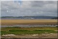 SD4574 : Beach at Silverdale, looking across the bay to Grange-over-Sands by Christopher Hilton