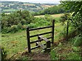 View from a Stile