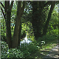 River Stour in Kidderminster, Worcestershire