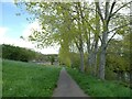 Severn Way (NCN81) on north bank of River Severn