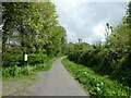 Severn Way (NCN81) in Llanllwchaiarn