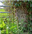 Benchmark on Kearby Cliff, Netherby