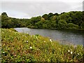 Hawkridge Reservoir