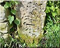 Benchmark cut into stone post, Kearby