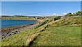 Loch Ewe shoreline