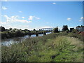 Overgrown  footpath  on  River  Aire  flood  bank