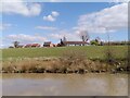 Housing on the site of Bramcote Hospital, viewed from the Ashby-de-la-Zouch Canal