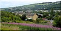 Housing at Slaithwaite.