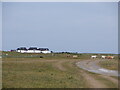 Track on the machair, Kilkenneth