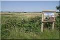 TM1116 : Howlands Marsh SSSI by Glyn Baker