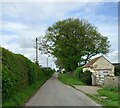 Common Balk Lane, Burton Leonard