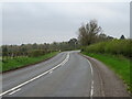 A443 towards Holt Heath