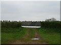 Field entrance off the A443