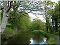 Montgomery Canal at Newhouse Wood