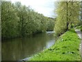 Wooded southern bank of River Severn