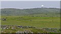 Farmland, Hynish