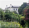 Heligan House from its Lost Gardens