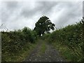 Farm track near Cefn Isaf