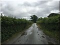 Minor road near Llansilin