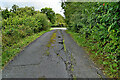 Subsidence cracks along Tattynure Road