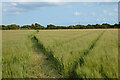 Farmland, Budock