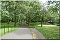 Path near Albert Bridge Road