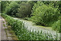 Manchester, Bolton & Bury Canal