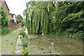 Weeping Willows, Manchester, Bolton & Bury Canal