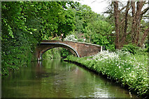 SO8273 : Canal at Oldington Bridge south of Kidderminster, Worcestershire by Roger  D Kidd