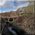 Country park footbridge, Walsgrave-on-Sowe