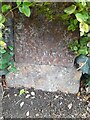 Milestone - Market House, Taunton 1