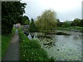 Montgomery Canal at Refail