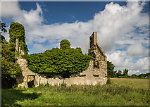 N1529 : Ruined house at Tumbeagh, Co. Offaly (2) by Mike Searle