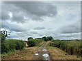 Occupation Lane south of Willoughby-on-the-Wolds