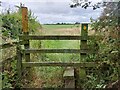 The Cross Britain Way near Field Farm