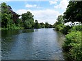 SU9973 : The River Thames at Runnymede by Steve Daniels