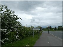 SJ2671 : Signpost for recycling centre by Chester Road, Oakenholt by David Smith